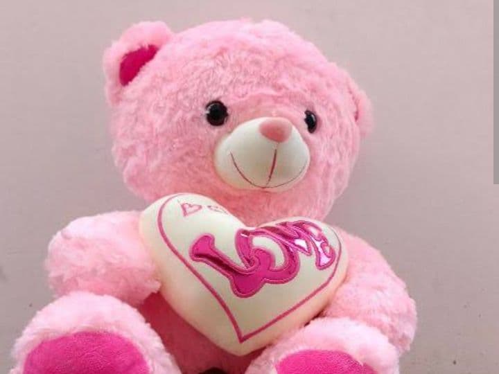 Pink teddy bear 
